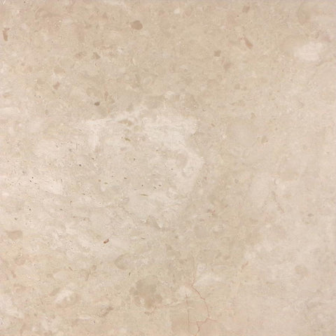 Turkish Marfil 24" X 24" Field Tile - Polished - DEKO Tile
