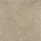 12 x 12 Honed Seagrass Limestone Tile - DEKO Tile