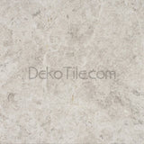 12 x 12 Polished Silver Shadow Limestone Tile - DEKO Tile