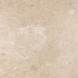 Turkish Marfil 24" X 24" Field Tile - Polished - DEKO Tile